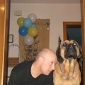 silvester28